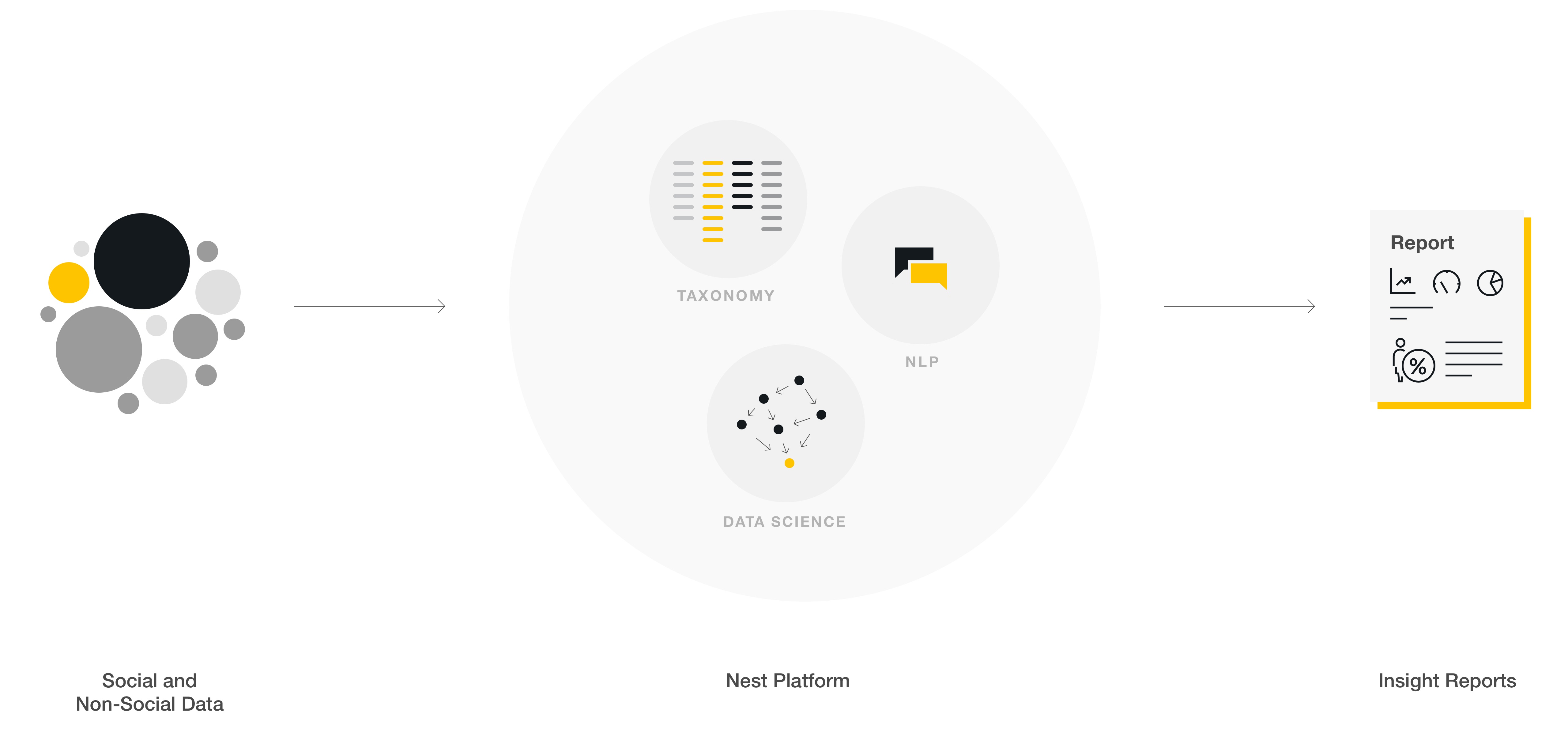 Black Swan Data product proposition in concept